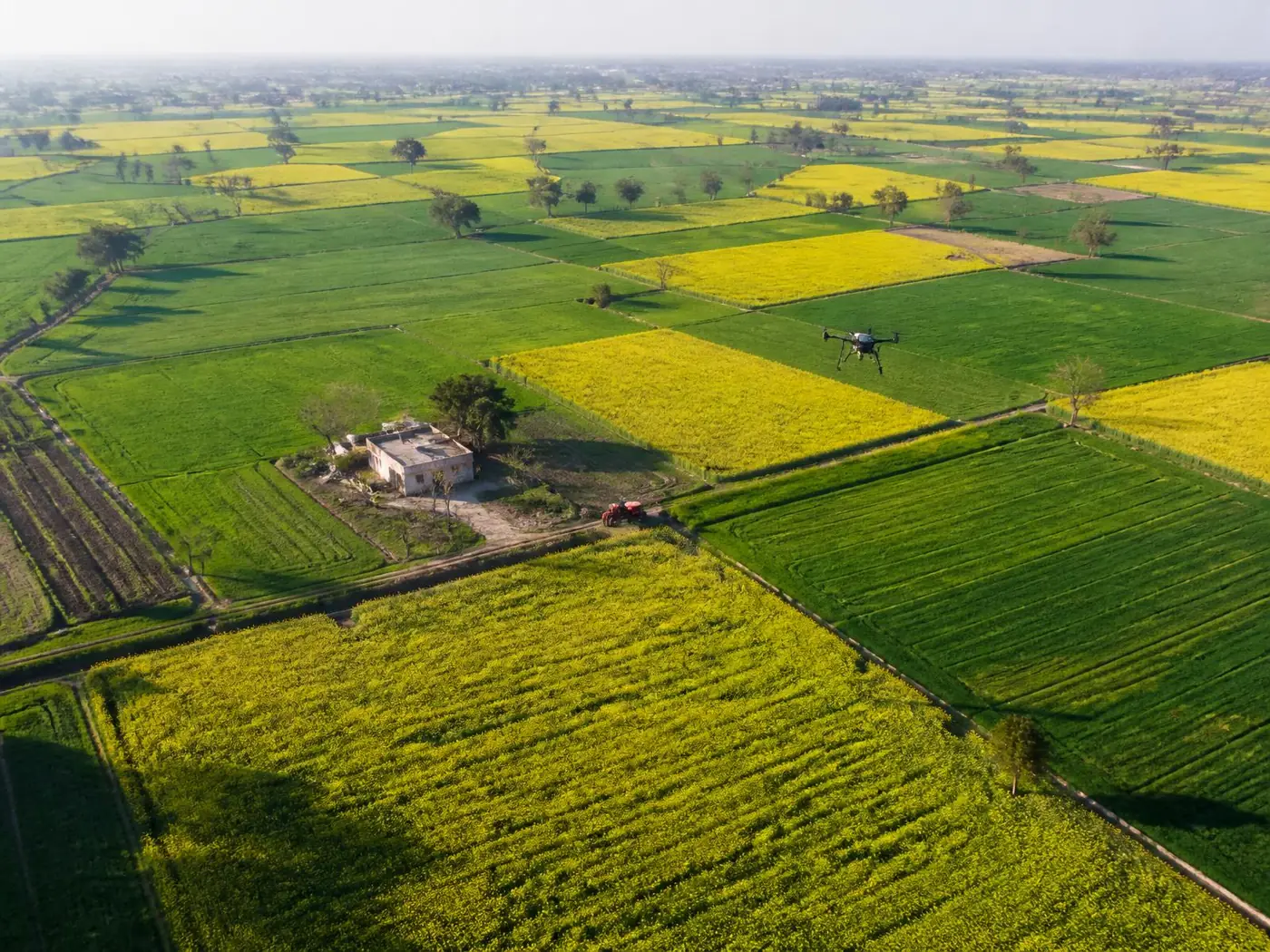 Agriculture - Fields you can't walk in a day.